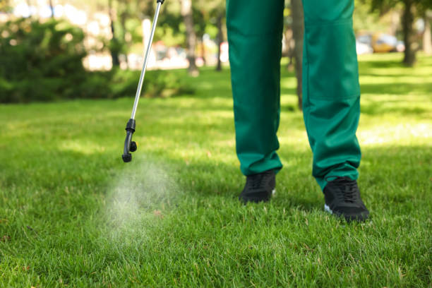 Professional Pest Control in Cochranton, PA