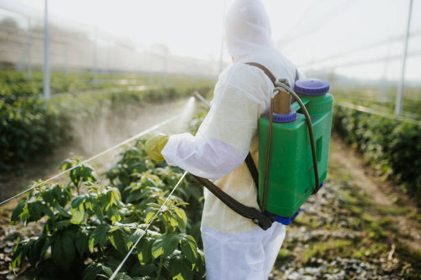  Cochranton, PA Pest Control Pros